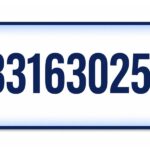 03316302561: Who Called Me and Is This Number Safe or a Scam?
