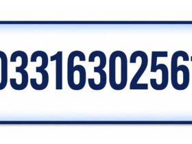 03316302561: Who Called Me and Is This Number Safe or a Scam?