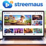Streemaus: Why This New Streaming Platform Is Growing So Fast