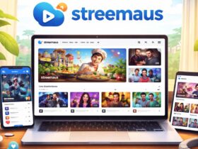 Streemaus: Why This New Streaming Platform Is Growing So Fast