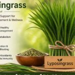 Lyposingrass: Why Everyone Is Talking About It