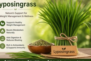 Lyposingrass: Why Everyone Is Talking About It