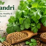 Koriandri: Is It the Same as Coriander or Something Different?