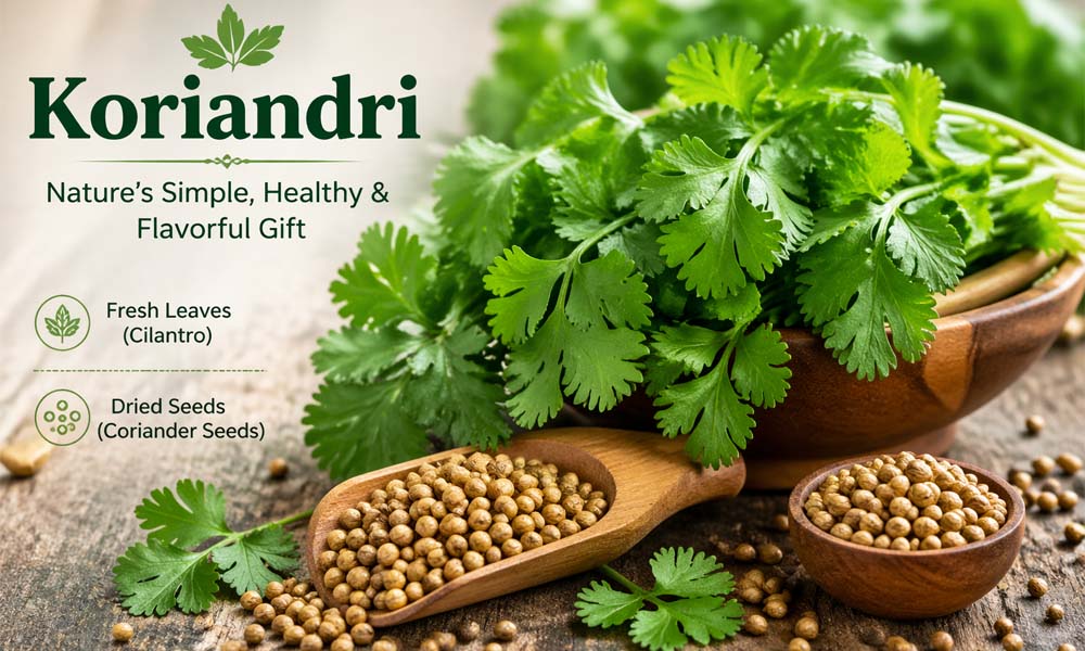 Koriandri: Is It the Same as Coriander or Something Different?