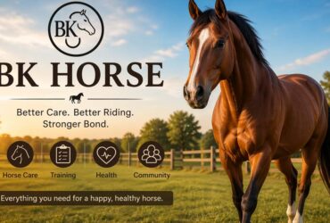 BK Horse: The Easy Way to Improve Horse Care and Riding