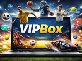 VIPBox: Is It Safe, Legal, or Too Risky to Use?