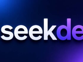 Seekde: Why Everyone Is Talking About This New Search Tool