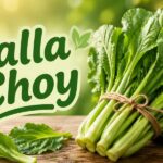 Yalla Choy: A Simple Guide to This Trending Food and Tea Culture