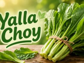 Yalla Choy: A Simple Guide to This Trending Food and Tea Culture