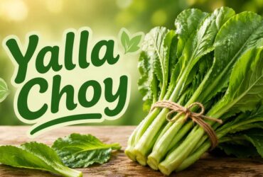 Yalla Choy: A Simple Guide to This Trending Food and Tea Culture