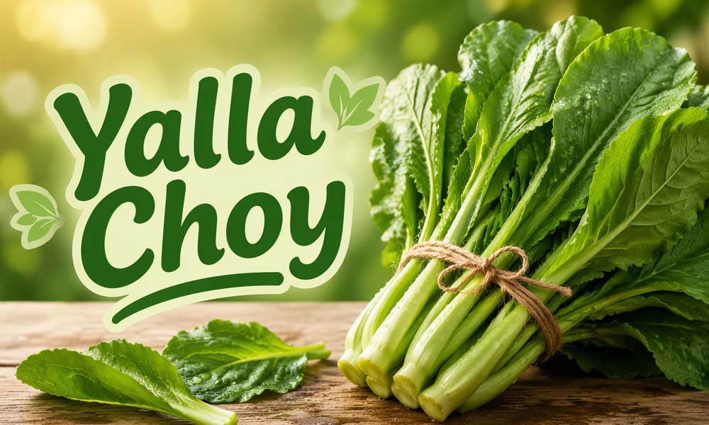 Yalla Choy: A Simple Guide to This Trending Food and Tea Culture
