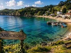 Camehoresbay: A Beautiful Mystery Worth Exploring