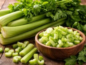 Pravi Celer: The Simple Vegetable with Powerful Health Benefits