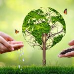 Right Environment
