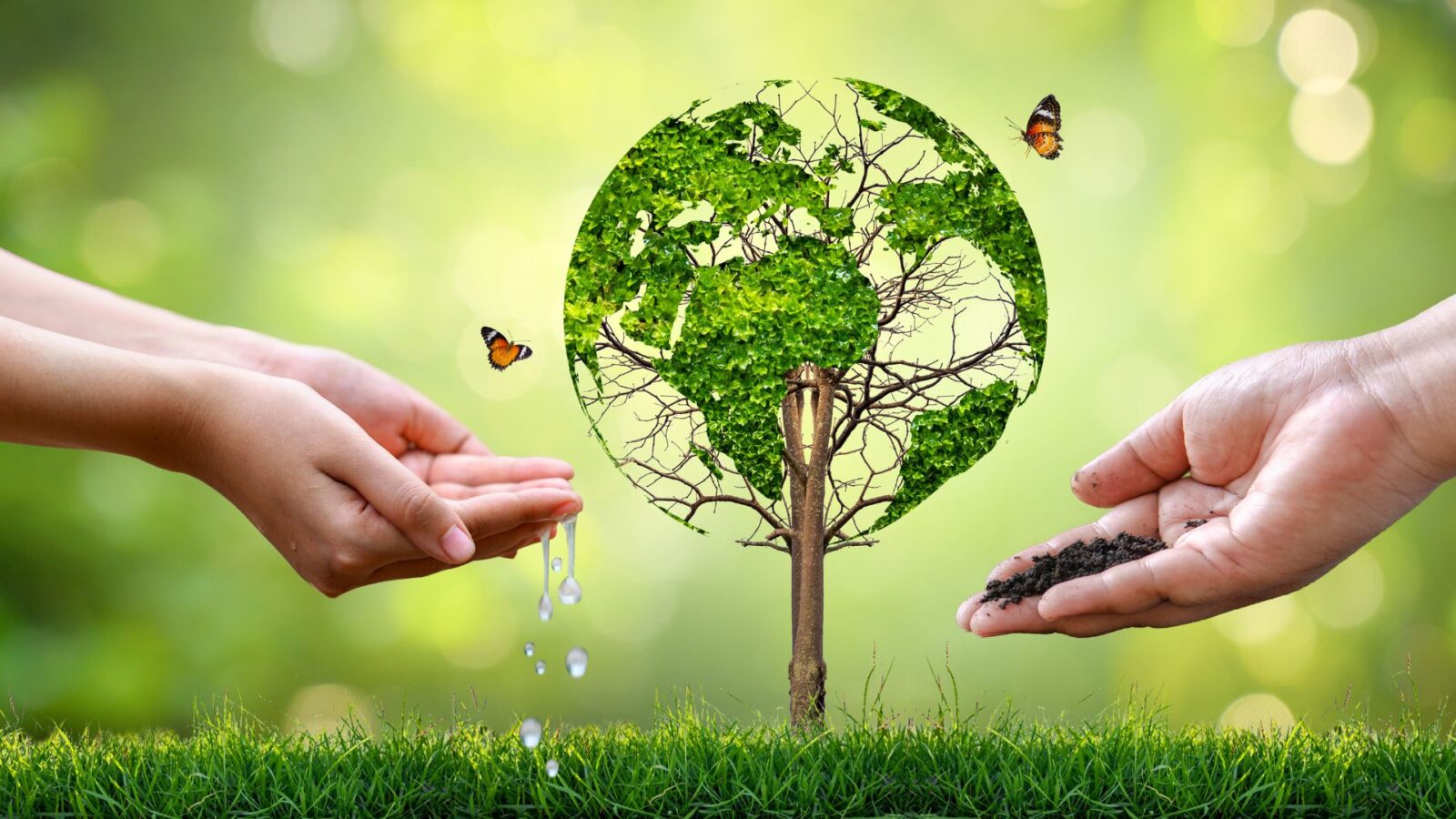 Right Environment