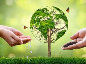 Right Environment