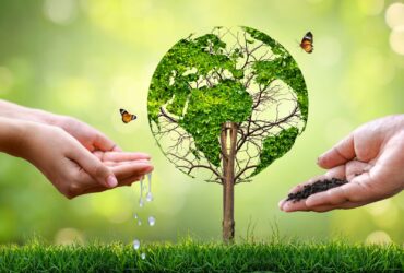Right Environment