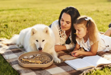 pet