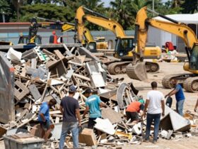 Why Local Dumpster Rentals Are Useful for Construction Cleanup