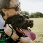 Top 10 Pet Insurance Providers in the UK (2026 Rankings)
