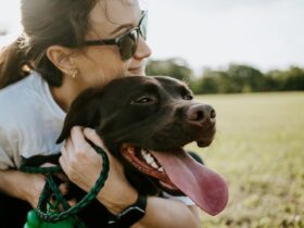 Top 10 Pet Insurance Providers in the UK (2026 Rankings)