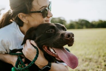 Top 10 Pet Insurance Providers in the UK (2026 Rankings)