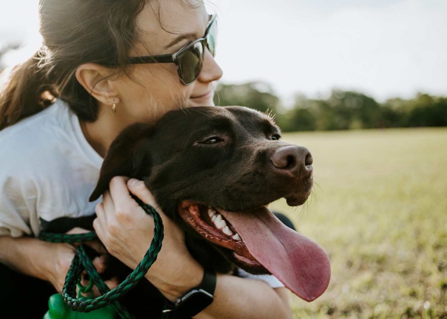 Top 10 Pet Insurance Providers in the UK (2026 Rankings)