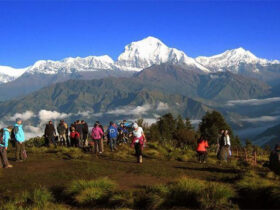 Ghorepani Poon Hill, Langtang Valley