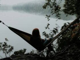 The Quiet Value of Everyday Quality