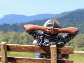Practical Ways to Slow Down and Enjoy Life