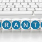 Top U.S. States with Strong Nonprofit Focus on Veterans Services