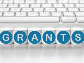 Top U.S. States with Strong Nonprofit Focus on Veterans Services
