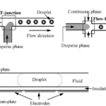 Droplet-Based Microfluidics in 2026: What You Need to Know for Advanced Cell Analysis
