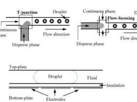 Droplet-Based Microfluidics in 2026: What You Need to Know for Advanced Cell Analysis