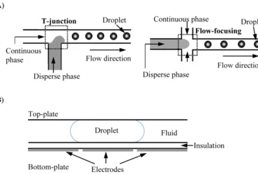Droplet-Based Microfluidics in 2026: What You Need to Know for Advanced Cell Analysis