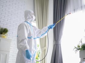 4 Areas to Prioritise with Disinfection Services Today