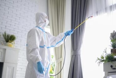 4 Areas to Prioritise with Disinfection Services Today