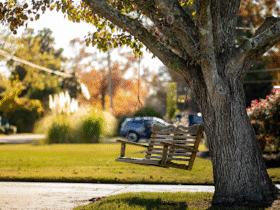 How to Cut Your Yard Work Time Without Cutting Corners