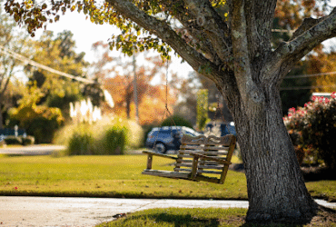 How to Cut Your Yard Work Time Without Cutting Corners
