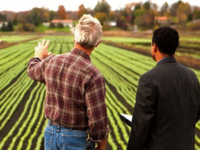 Agriculture Custom Software Development