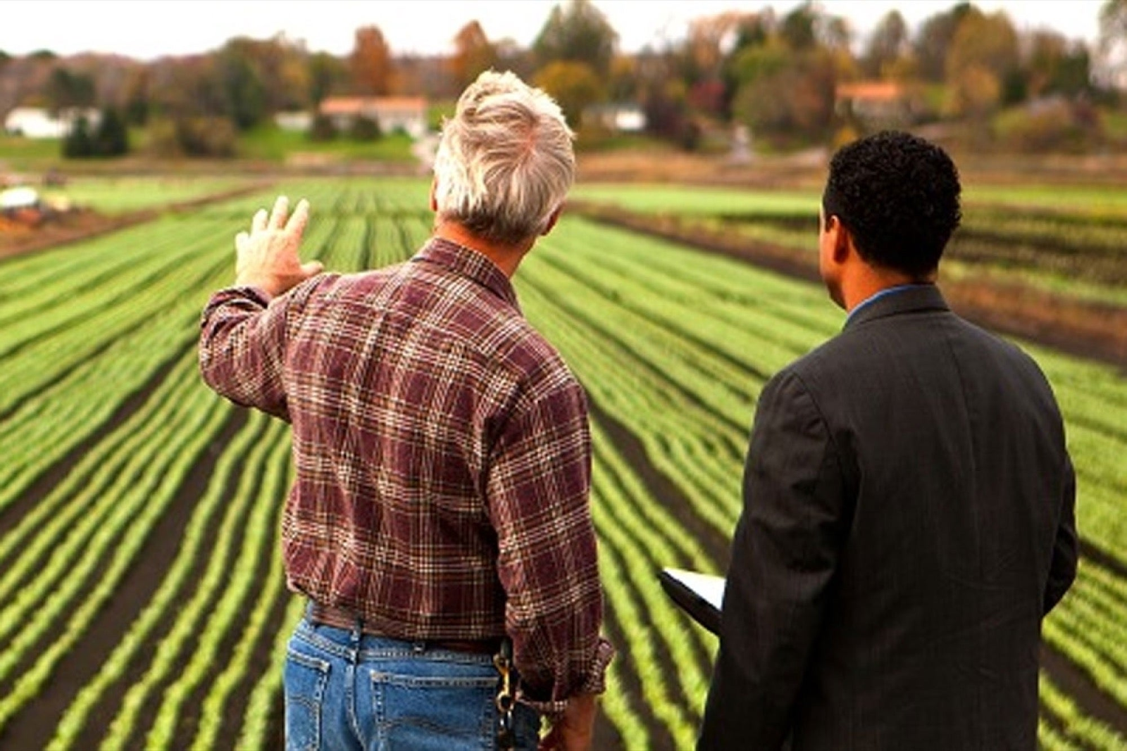 Agriculture Custom Software Development