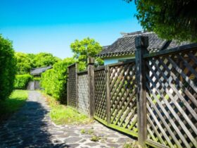 Garden Fencing Ideas for Modern, Practical Outdoor Spaces