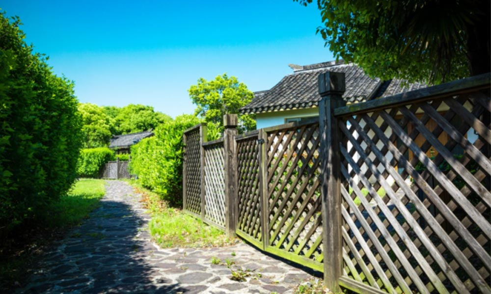 Garden Fencing Ideas for Modern, Practical Outdoor Spaces