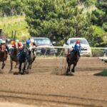 The UK Racing Calendar 2027: The Must-Attend Horse Racing Events Every British Fan Should Have On Their Radar