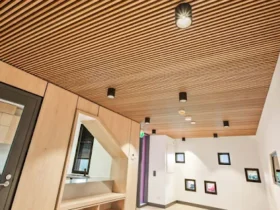 How Wall and Ceiling Systems Can Improve Modern Interior Design