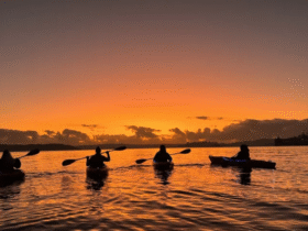 Kayak Routes
